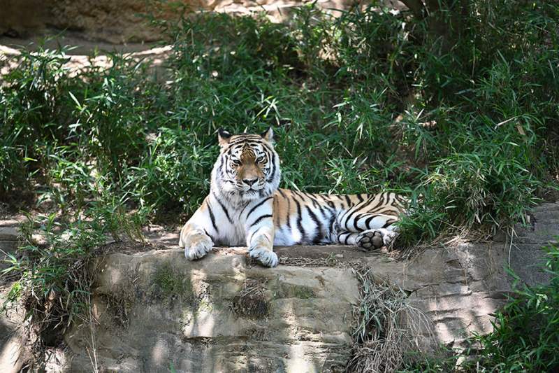 �e���R���Ȃ��i�œ_����200mm�j