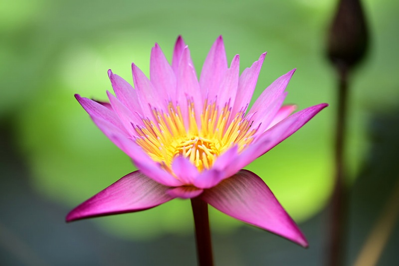 �e���R���Ȃ��i�ő�B�e�{��0.2�{�j