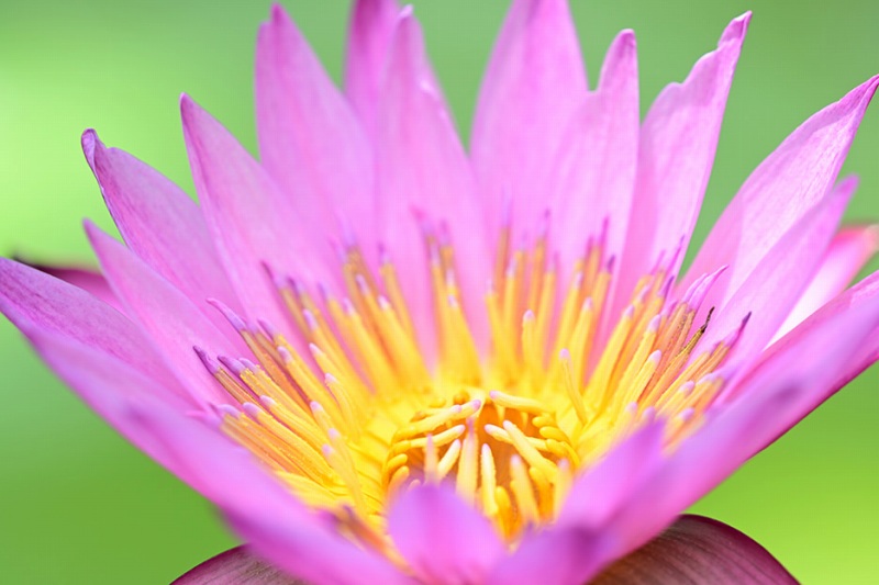 �e���R������i�ő�B�e�{��0.4�{�j