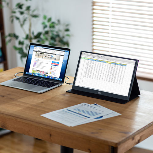 �T�����T�v���C�@SANWA�@SUPPLY  DP-01 USB-C�ڑ� PC���j�^�[ [15.6�^ /���C�h /�t��HD(1920&times;1080)]