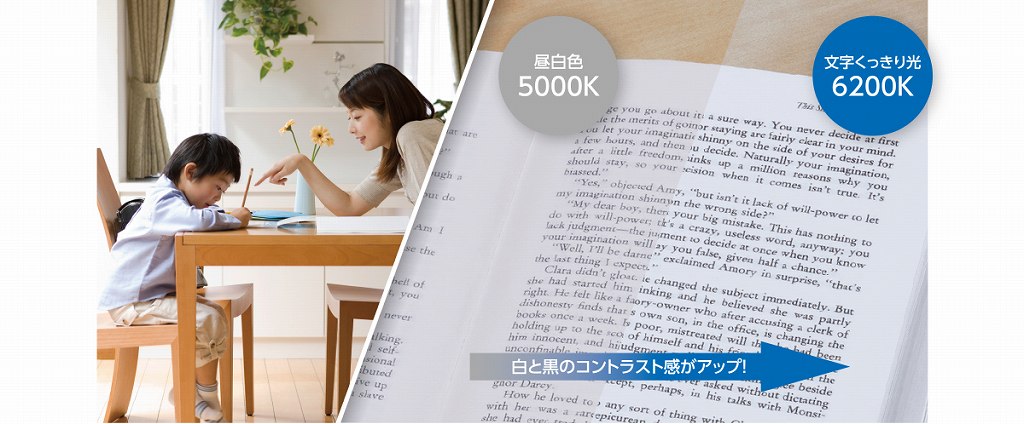 �p�i�\�j�b�N�@Panasonic  LED�V�[�����O���C�g 