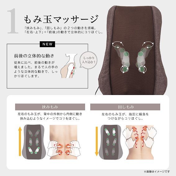 �u���݂��݁v�Ɓu�񂵂��݁v��2�̓����𓋍�