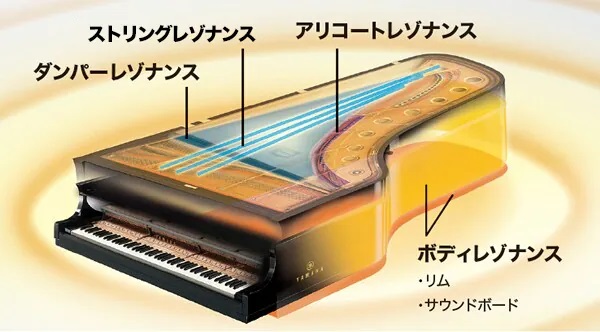 �O�����h�s�A�m�S�̂��琶�܂�鑽�ʂȋ������Č��u�o�[�`�����E���]�i���X�E���f�����O�iVRM�j�v