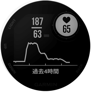 010-02064-G2 Instinct Evangelion NERV GARMIN