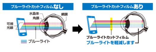 iPhone 12/12 Pro 6.1�C���`�Ή� �K���X�t�B���� �G�b�W���� 0.33mm �h�o�v���[�g �u���[���C�g�J�b�g