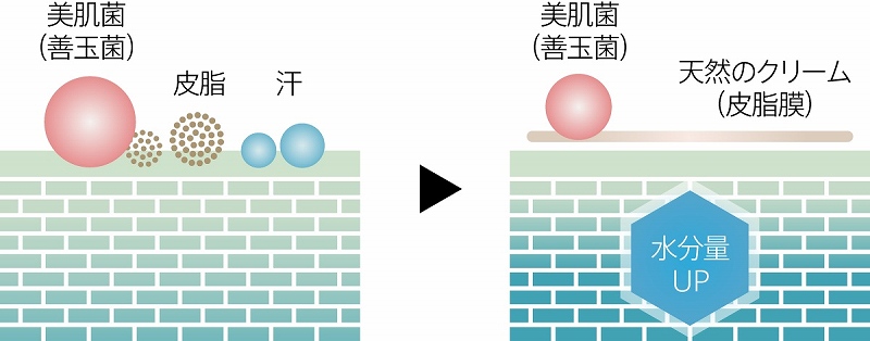 ���e�P�A�E�G�X�e �t�F�C�X�X�`�[�}�[ ���[�}���@ya-man  ���т�����@�t�H�g�X�`�[�}�[