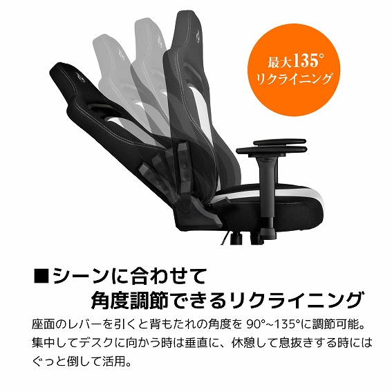 Nitro Concepts�@�i�C�g���E�R���Z�v�c  NC-E250-BW �Q�[�~���O�`�F�A E250 �z���C�g