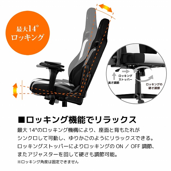 Nitro Concepts�@�i�C�g���E�R���Z�v�c  NC-E250-BW �Q�[�~���O�`�F�A E250 �z���C�g