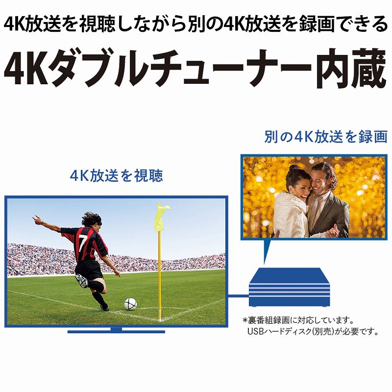 �V���[�v�@SHARP  �t���e���r AQUOS�i�A�N�I�X�j 4T-C50CH1 [50V�^ /4K�Ή� /BS�ECS 4K�`���[�i�[����]