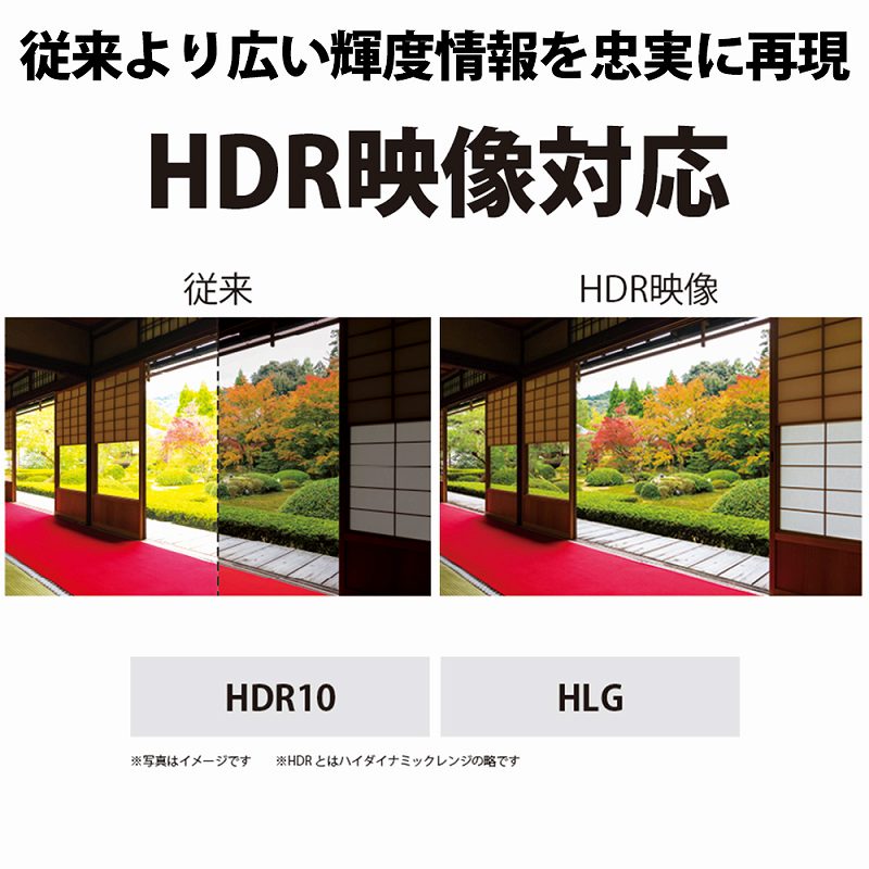 �V���[�v�@SHARP  �t���e���r AQUOS�i�A�N�I�X�j 4T-C50CH1 [50V�^ /4K�Ή� /BS�ECS 4K�`���[�i�[����]