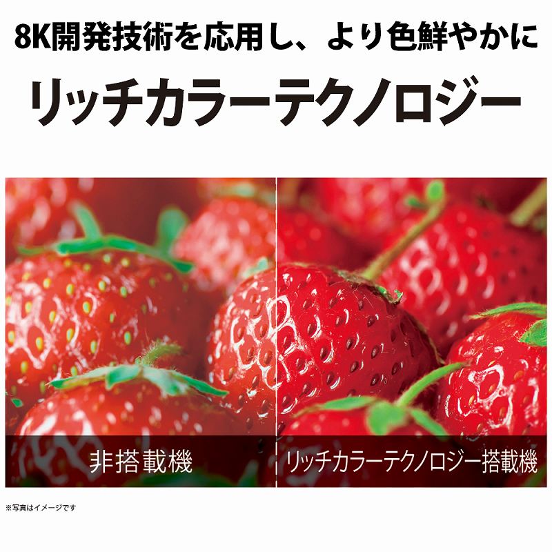 �V���[�v�@SHARP  �t���e���r AQUOS�i�A�N�I�X�j 4T-C50CH1 [50V�^ /4K�Ή� /BS�ECS 4K�`���[�i�[����]