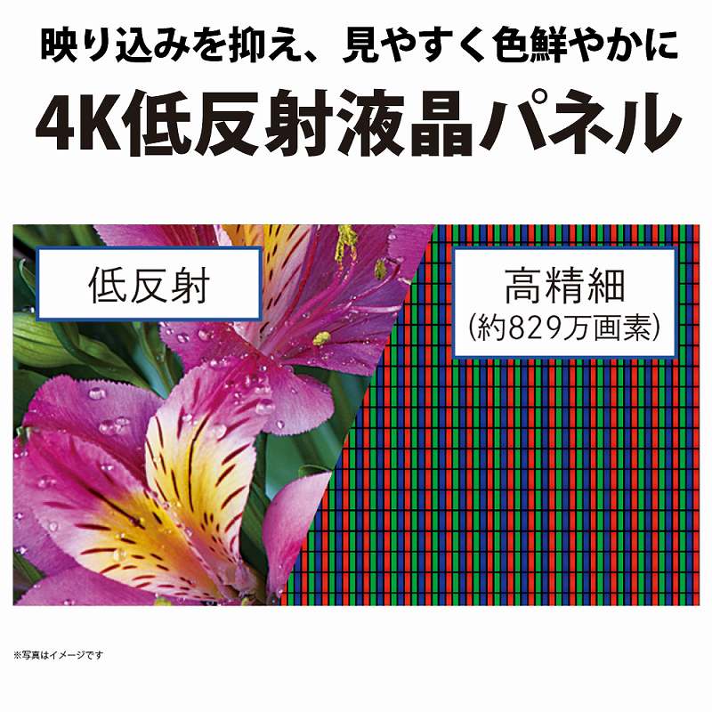 �V���[�v�@SHARP  �t���e���r AQUOS�i�A�N�I�X�j 4T-C50CH1 [50V�^ /4K�Ή� /BS�ECS 4K�`���[�i�[����]