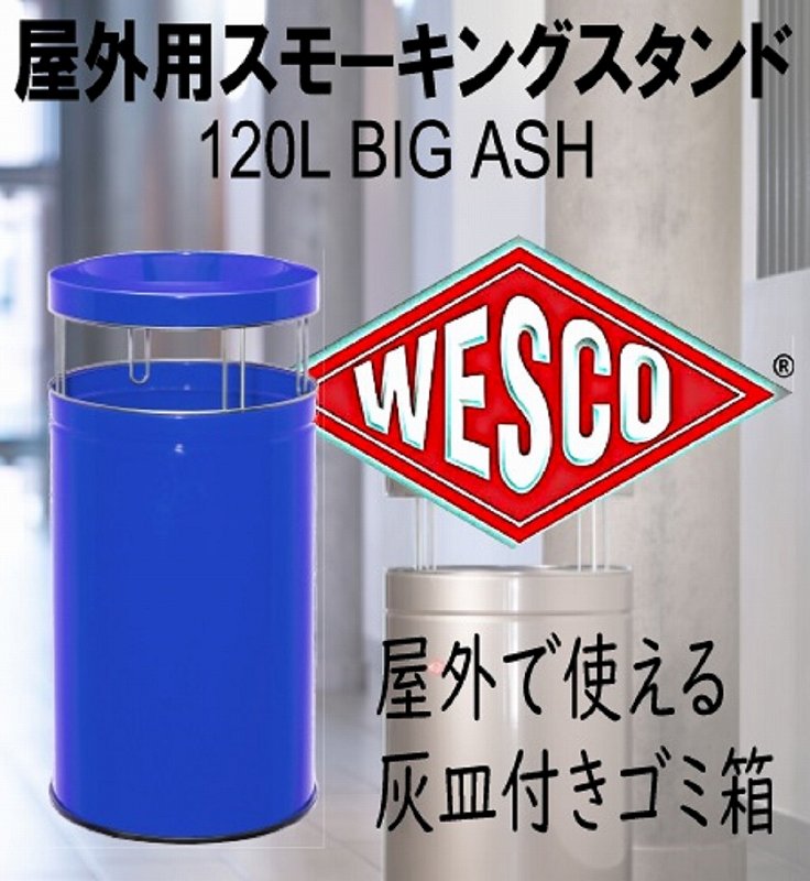 �E�F�X�R��1867�NMartin Westermann�ɂ���ăh�C�c�őn�ƁB