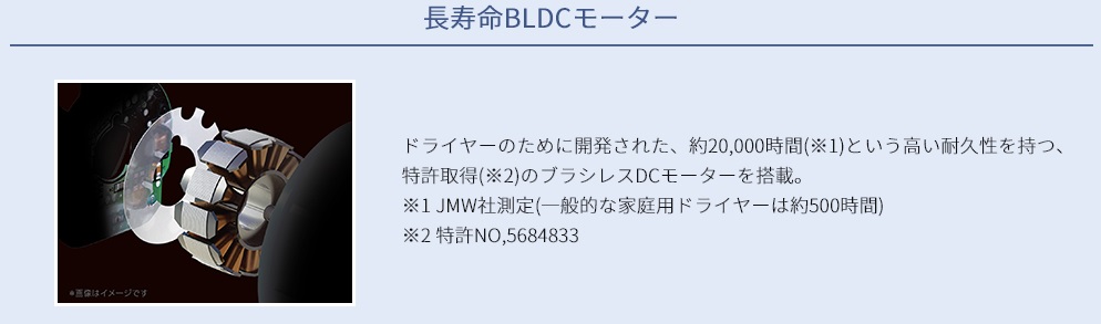 Salon Sense300 BLDC�h���C���[