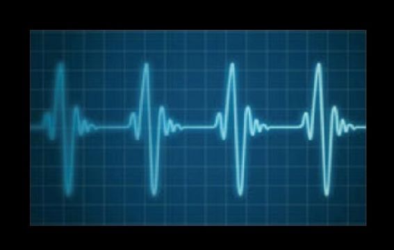 �̑g���v �^�j�^�@TANITA  �^�j�^�@�C���i�[�X�L�����f���A���̑g���v�@RD803LBK