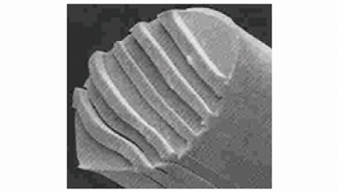 �G���R���@ELECOM  �e���r�p�N���[�i�[ Blu-ray�����Y�N���[�i�[ ���� ���� 2���p�b�N AVD-CKBR4