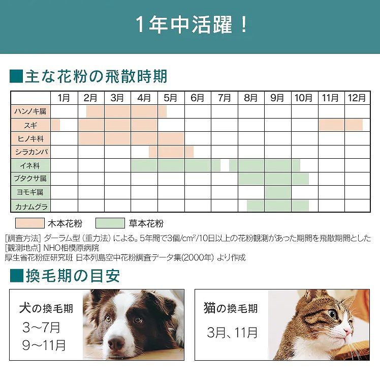 1�N����@��ȉԕ��̔�U�����@���ъ��̖ڈ�