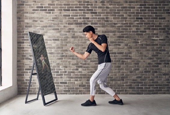 �t�B�b�g�l�X�~���[ Fitness Mirror TE-630 �Ƃŉ^���@�g���[�j���O