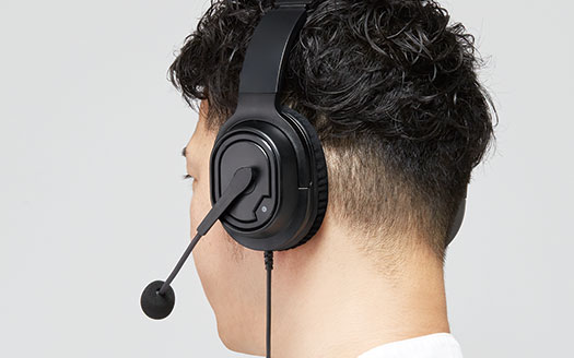 https://www.biccamera.com/goods/8695905/product_002.jpg
