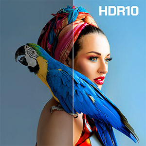 �z�[���V�A�^�[�v���W�F�N�^�[ �A���J�[�E�W���p���@Anker�@Japan  Anker Nebula Cosmos black D2140511