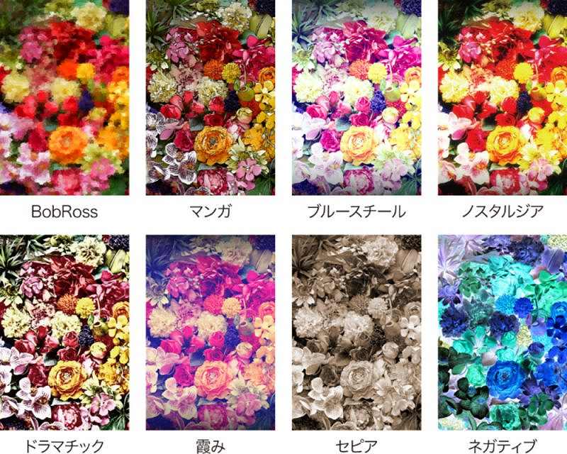 �C���X�g�E�ʐ^�E�摜�ҏW�\�t�g �W�����O���@Jungle  ACDsee Photo Studio Home 2020 [Windows�p]