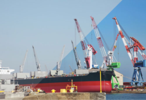 �C���X�g�E�ʐ^�E�摜�ҏW�\�t�g �W�����O���@Jungle  ACDsee Photo Studio Home 2020 [Windows�p]