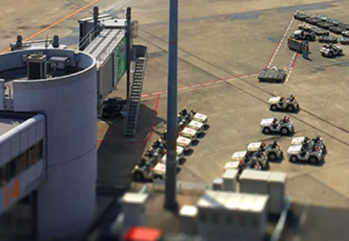 �C���X�g�E�ʐ^�E�摜�ҏW�\�t�g �W�����O���@Jungle  ACDsee Photo Studio Home 2020 [Windows�p]