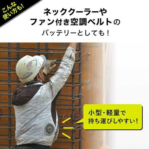 ���o�C���o�b�e���[ �T�����T�v���C�@SANWA�@SUPPLY  ���o�C���o�b�e���[�iUSB Type-C�Ή��E5000mAh�j �u���b�N BTL-RDC21BK 