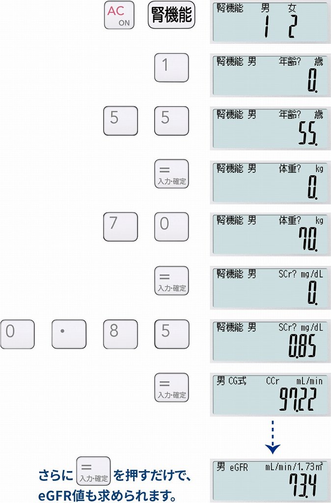 ��ʓd�� �J�V�I�@CASIO  ��܎t������p�v�Z�d�� SP-100PH [10��]