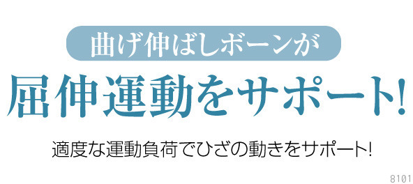 �Ȃ��L�΂��{�[�������L�^�����T�|�[�g