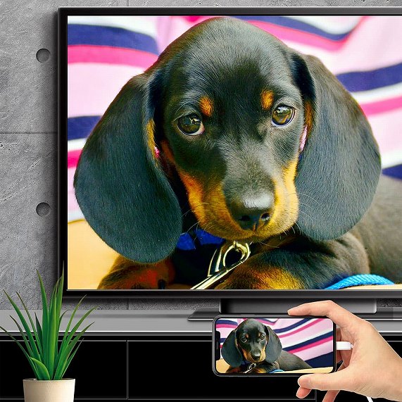 iPhone/iPad�p HDMI�~���[�����O�P�[�u�� 2m Premium Style �u���b�N PG-IPTV03BK