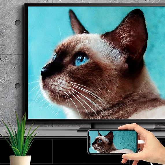 iPhone/iPad�p HDMI�~���[�����O�P�[�u�� 2m Premium Style �z���C�g PG-IPTV04WH