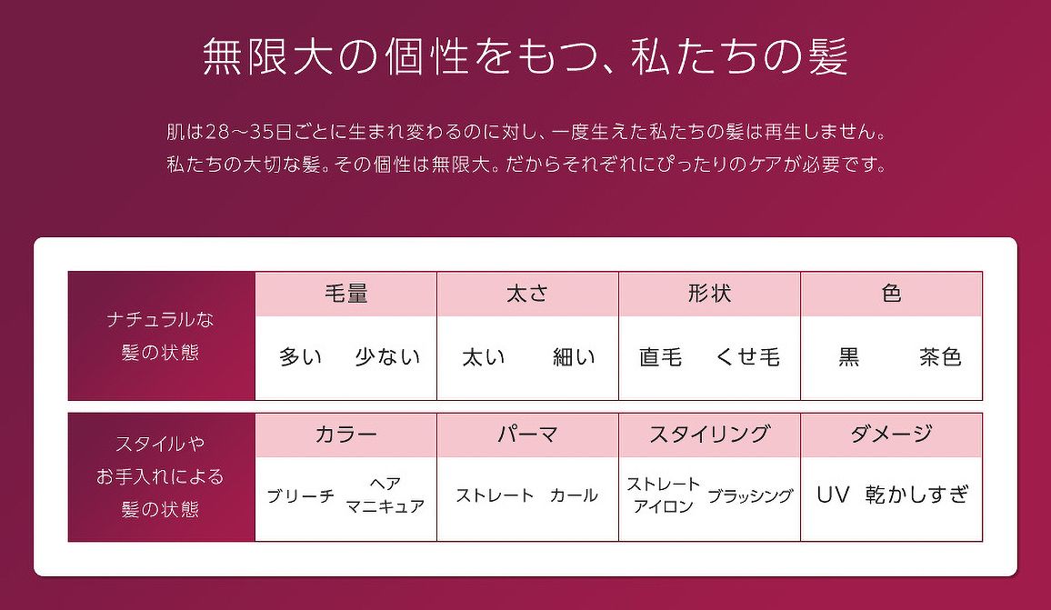 �t�B���b�v�X�@PHILIPS  �w�A�[�h���C���\ �v���X�e�[�W BHD827/17 �r�b�N�J����