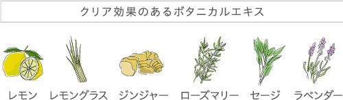 �V�����v�[�{�� �����{�X�@yanagiya  �l�C�`���[���[�h �{�^�j�J�� �h���C�V�����v�[ <�N���A&���t���b�V��> 145ml