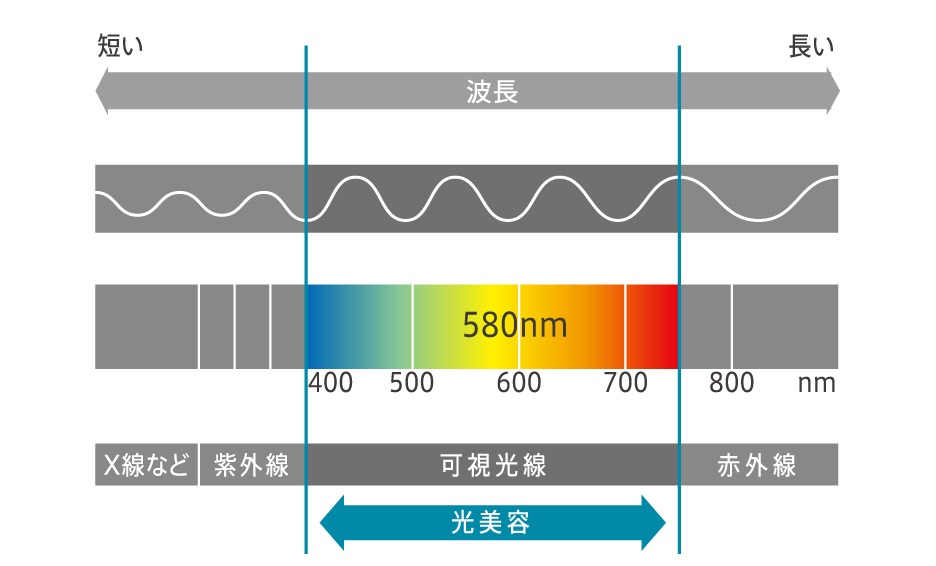 �r���[�e�B�[�E���N�Ɠd �{�f�B�P�A �����e�E�E�ъ� ���G�X�e ���[�}���@ya-man  �����e�� STA-212P ���C�{�[�e R�t���b�V�� �_�u��PLUS VI�^�C�v