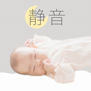 �p���t���Ȃ̂ɐÉ�