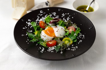 �ቷ������ �x�m���@FUJISHO  �ቷ������ Sous vide cooking F20403 �r�b�N�J����