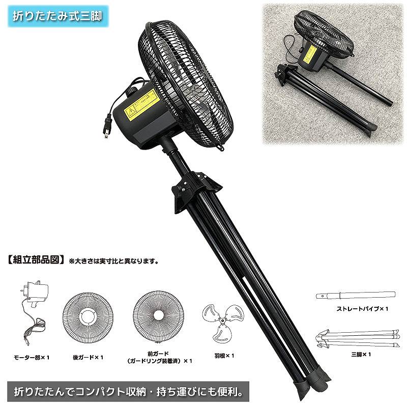 �܂��ݎ��̎O�r