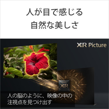 SONY �\�j�[�@4K�Ή� /BS�ECS 4K�`���[�i�[���� /YouTube�Ή� /Bluetooth�Ή�]�@�r�b�N�J����