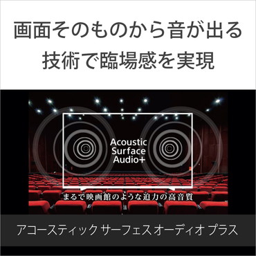 SONY �\�j�[�@4K�Ή� /BS�ECS 4K�`���[�i�[���� /YouTube�Ή� /Bluetooth�Ή�]�@�r�b�N�J����