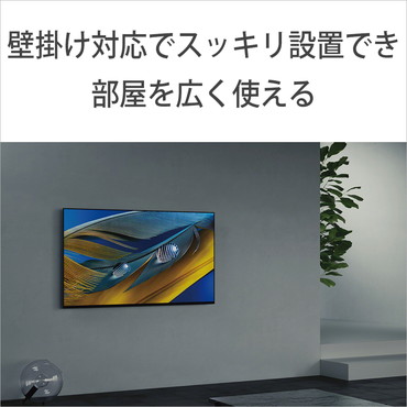 SONY �\�j�[�@4K�Ή� /BS�ECS 4K�`���[�i�[���� /YouTube�Ή� /Bluetooth�Ή�]�@�r�b�N�J����