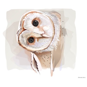 �p�\�R���E���Ӌ@��EPC�\�t�g �p�\�R���\�t�g �摜�E�f���E���y����\�t�g �C���X�g�E�ʐ^�E�摜�ҏW�\�t�g �R�[�����R�[�|���[�V�����@COREL  CorelDRAW Graphics Suite 2021 for Windows�@�V���A���R�[�h�� [Windows�p] �r�b�N�J����