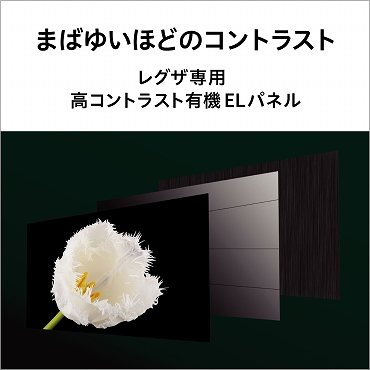 �L�@EL�e���r ���Ł@TOSHIBA  �L�@EL�e���r REGZA(���O�U) 9400S 4K�Ή� /BS�ECS 4K�`���[�i�[���� /YouTube�Ή�] �r�b�N�J����