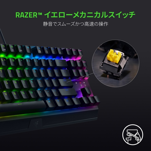 RAZER �C�G���[���J�j�J���X�C�b�`