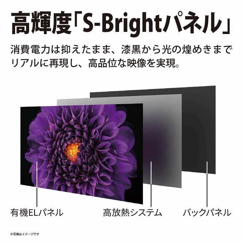 �V���[�v�@SHARP  �L�@EL�e���r AQUOS 4T-C55DS1 [55V�^ /4K�Ή� /BS�ECS 4K�`���[�i�[���� /YouTube�Ή� /Bluetooth�Ή�] �r�b�N�J����