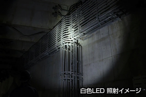 ���FLED �Ǝ˃C���[�W