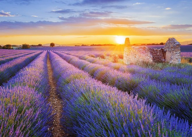 �t���b�J�[�Z�p����̏ꍇ