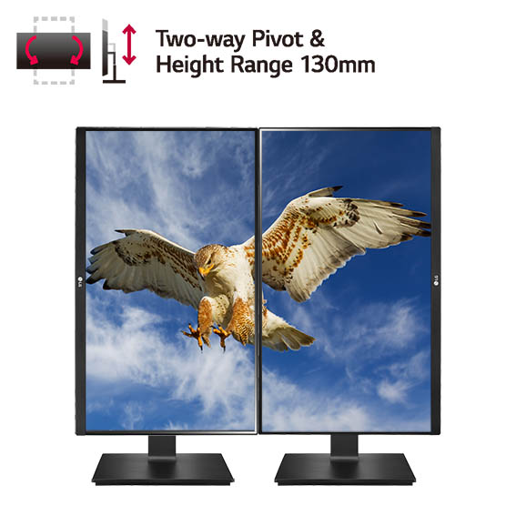PC���j�^�[ LG  23.8�C���`WQHD�e�����[�N�����r�W�l�X���j�^�[ �� 24QP550-B �r�b�N�J����