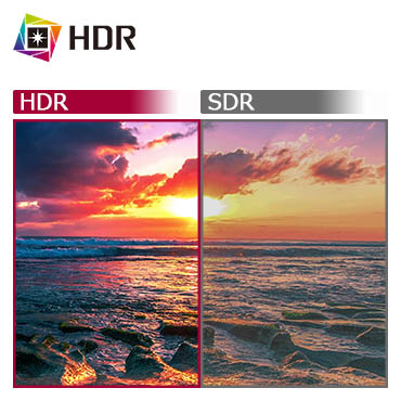 PC���j�^�[ LG  23.8�C���`WQHD�e�����[�N�����r�W�l�X���j�^�[ �� 24QP550-B �r�b�N�J����