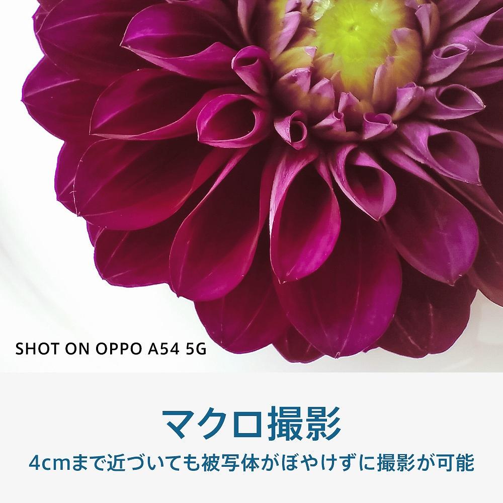 OPPO A54 5G Snapdragon 480 5G 6.5型 メモリ/ストレージ： 4GB/64GB nanoSIM+nanoSIM DSDV対応 ドコモ/au/Rakuten/Y!mobileSIM対応 SIMフリースマートフォン